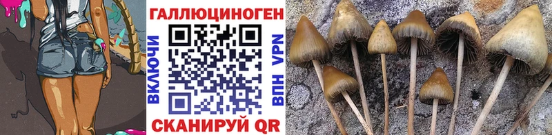 Галлюциногенные грибы мухоморы  Калязин 